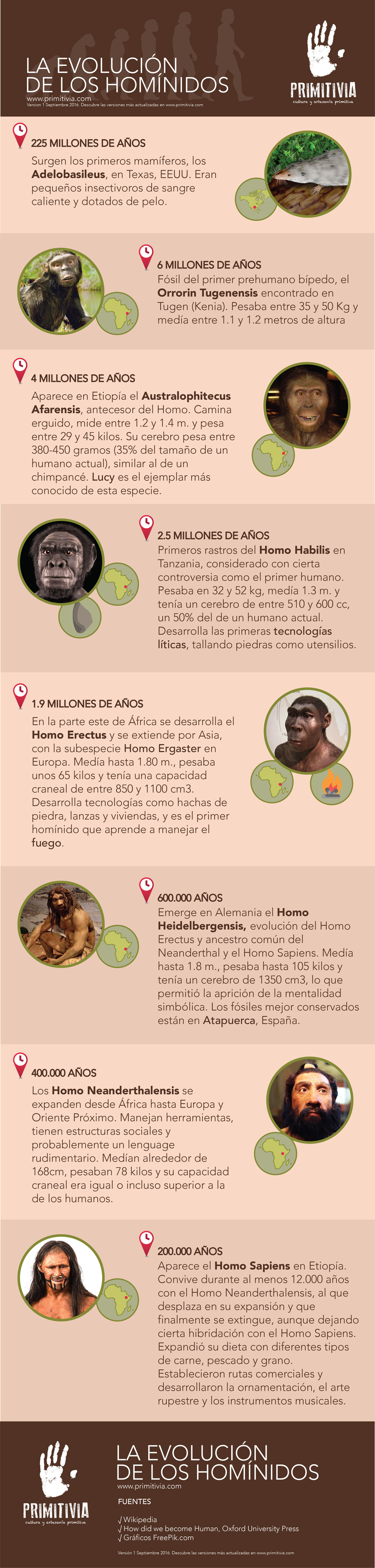 evolucion-hominidos-primitivia